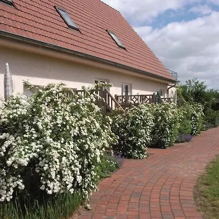 In Der Mecklenburger Seenplatte, Cleaning Included Apartment Buchholz (Mecklenburg-Vorpommern)